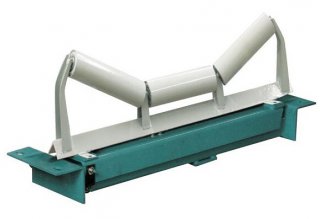 ICS-30电子皮带称