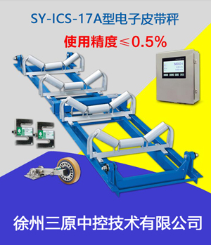 电厂电子皮带秤 ICS-17A矿用电子皮带秤 化工水泥煤矿输送机计量秤